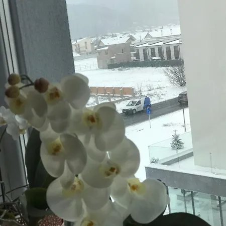 Deea H24 Apartment Risnov